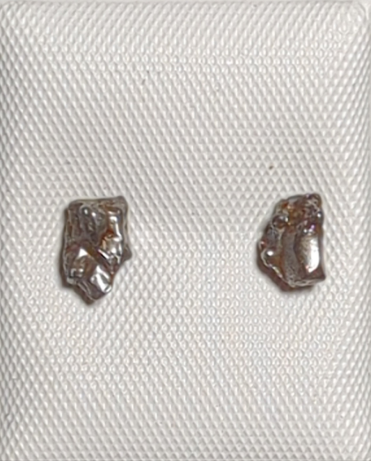 Campo del Cielo Meteorite Earrings