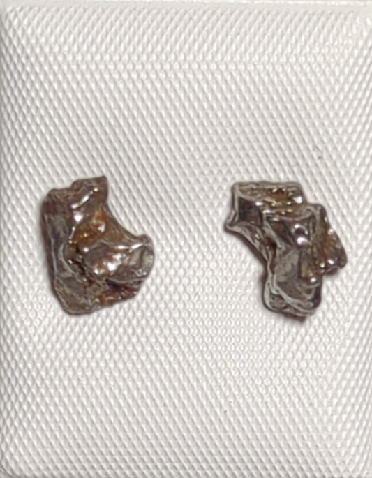 Campo del Cielo Meteorite Earrings