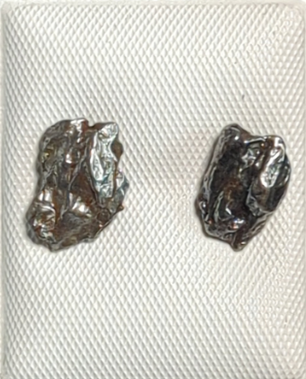 Campo del Cielo Meteorite Earrings