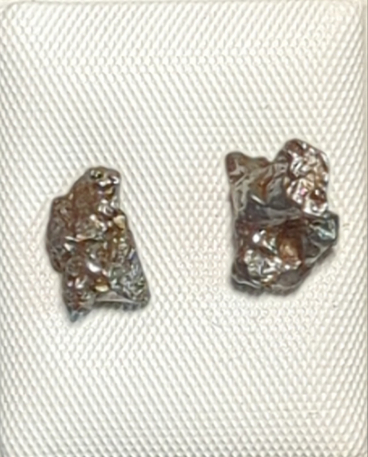 Campo del Cielo Meteorite Earrings
