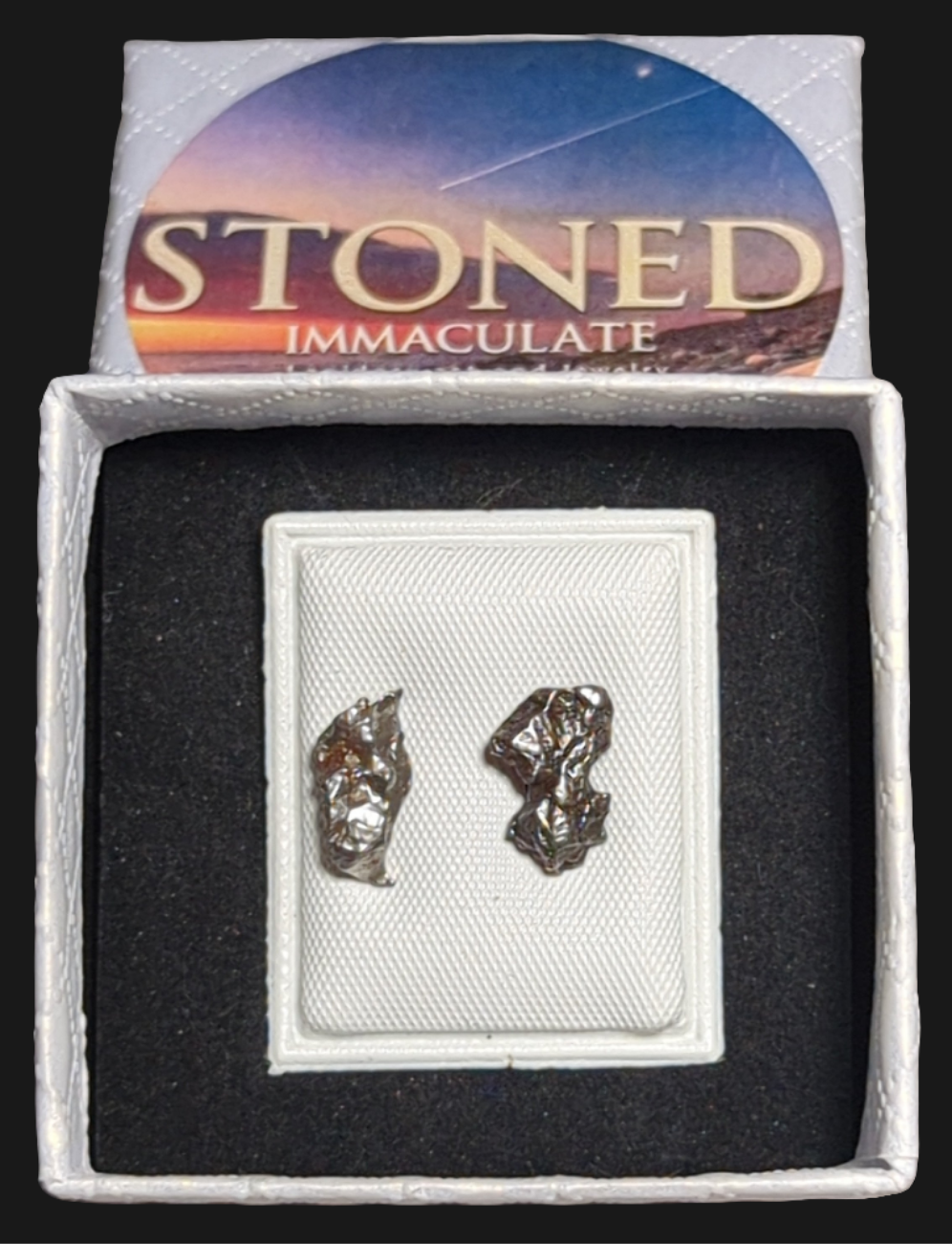 Campo del Cielo Meteorite Earrings