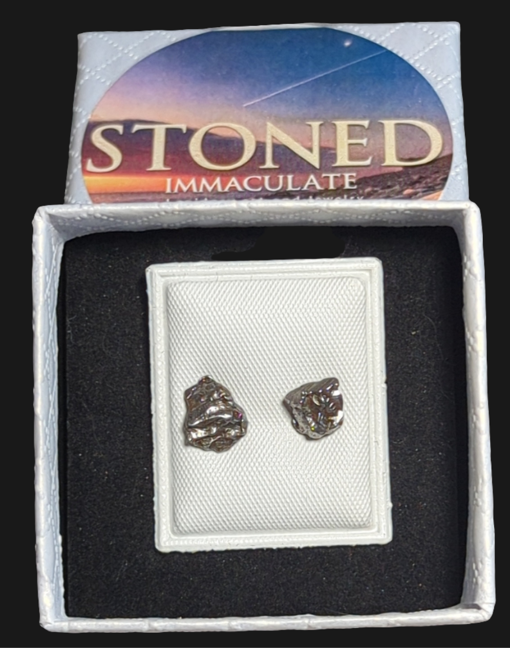 Campo del Cielo Meteorite Earrings