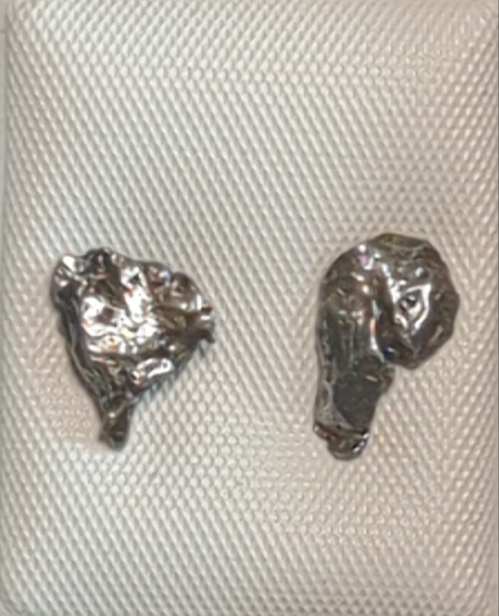 Campo del Cielo Meteorite Earrings