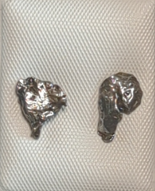 Campo del Cielo Meteorite Earrings
