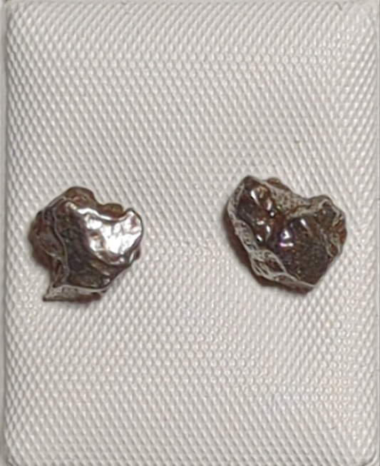 Campo del Cielo Meteorite Earrings