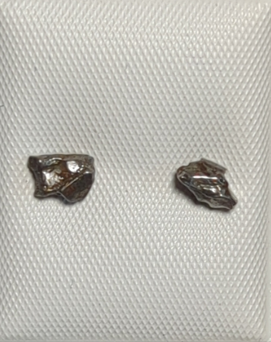 Campo del Cielo Meteorite Earrings