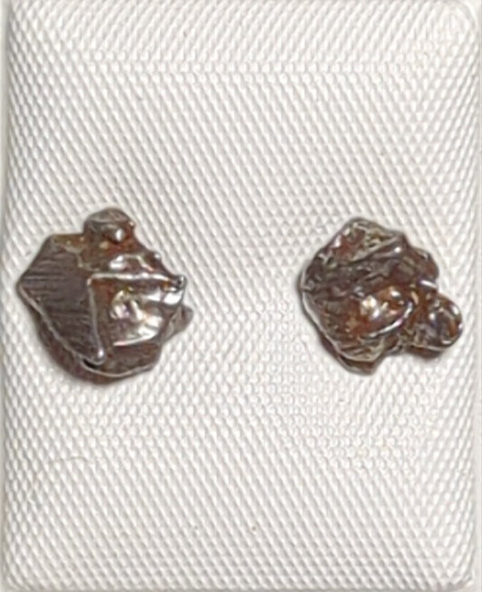 Campo del Cielo Meteorite Earrings