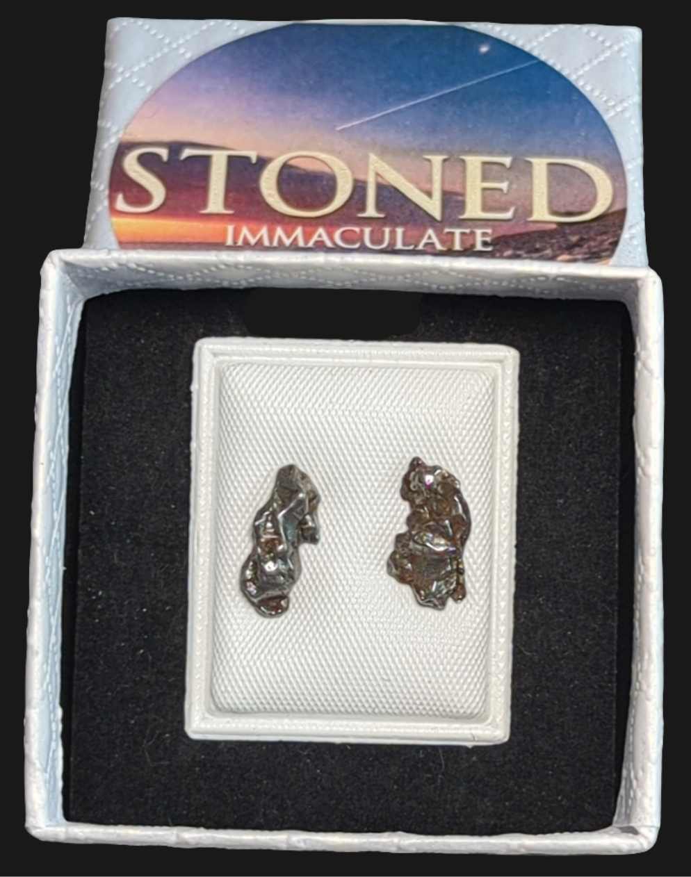 Campo del Cielo Meteorite Earrings