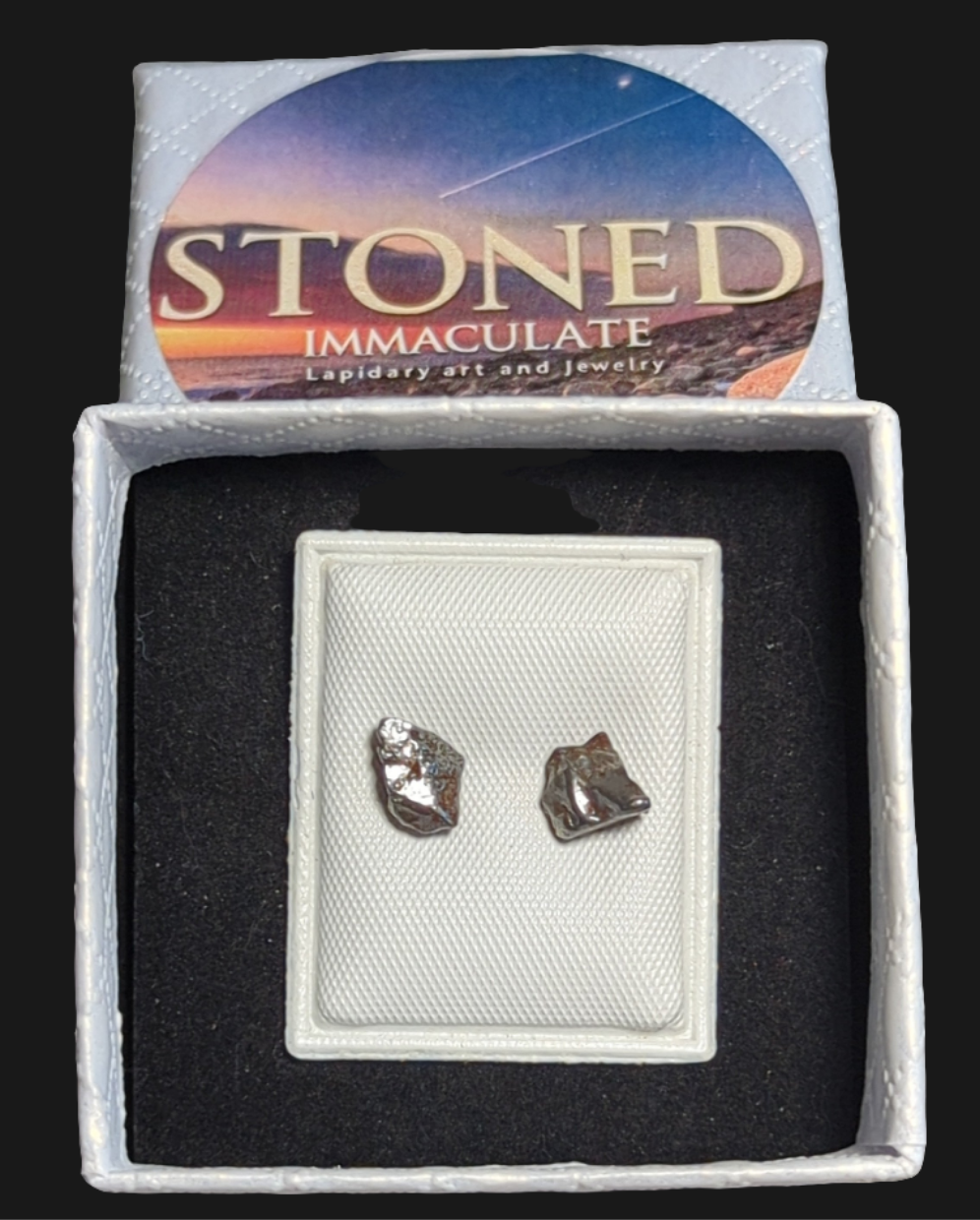 Campo del Cielo Meteorite Earrings
