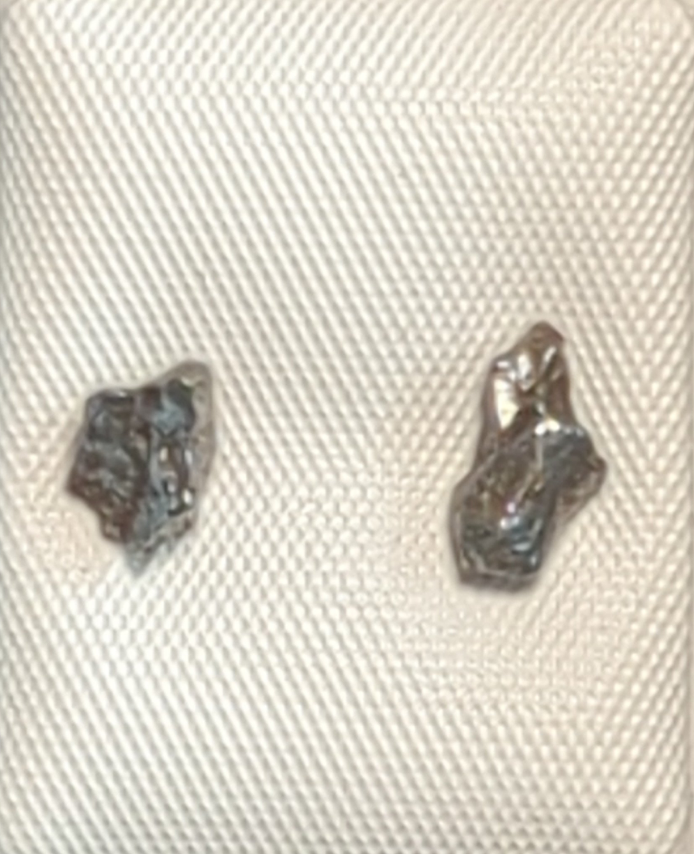 Campo del Cielo Meteorite Earrings