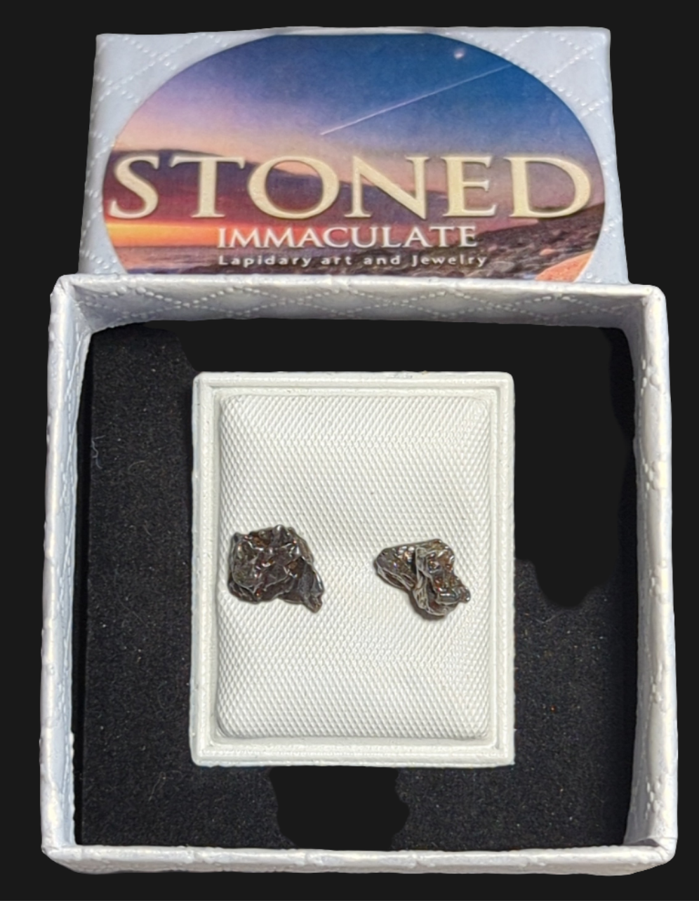 Campo del Cielo Meteorite Earrings