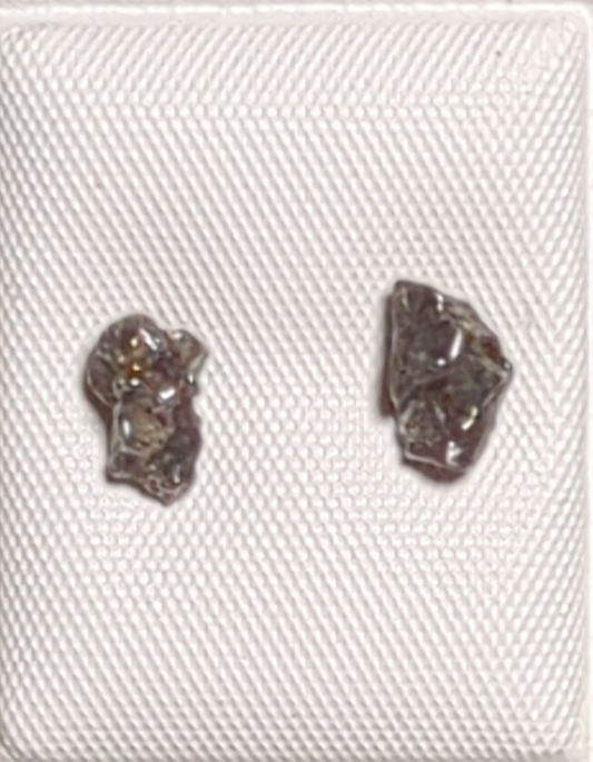 Campo del Cielo Meteorite Earrings