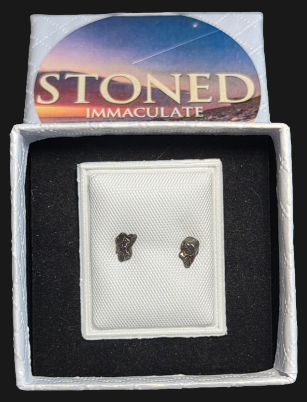 Campo del Cielo Meteorite Earrings