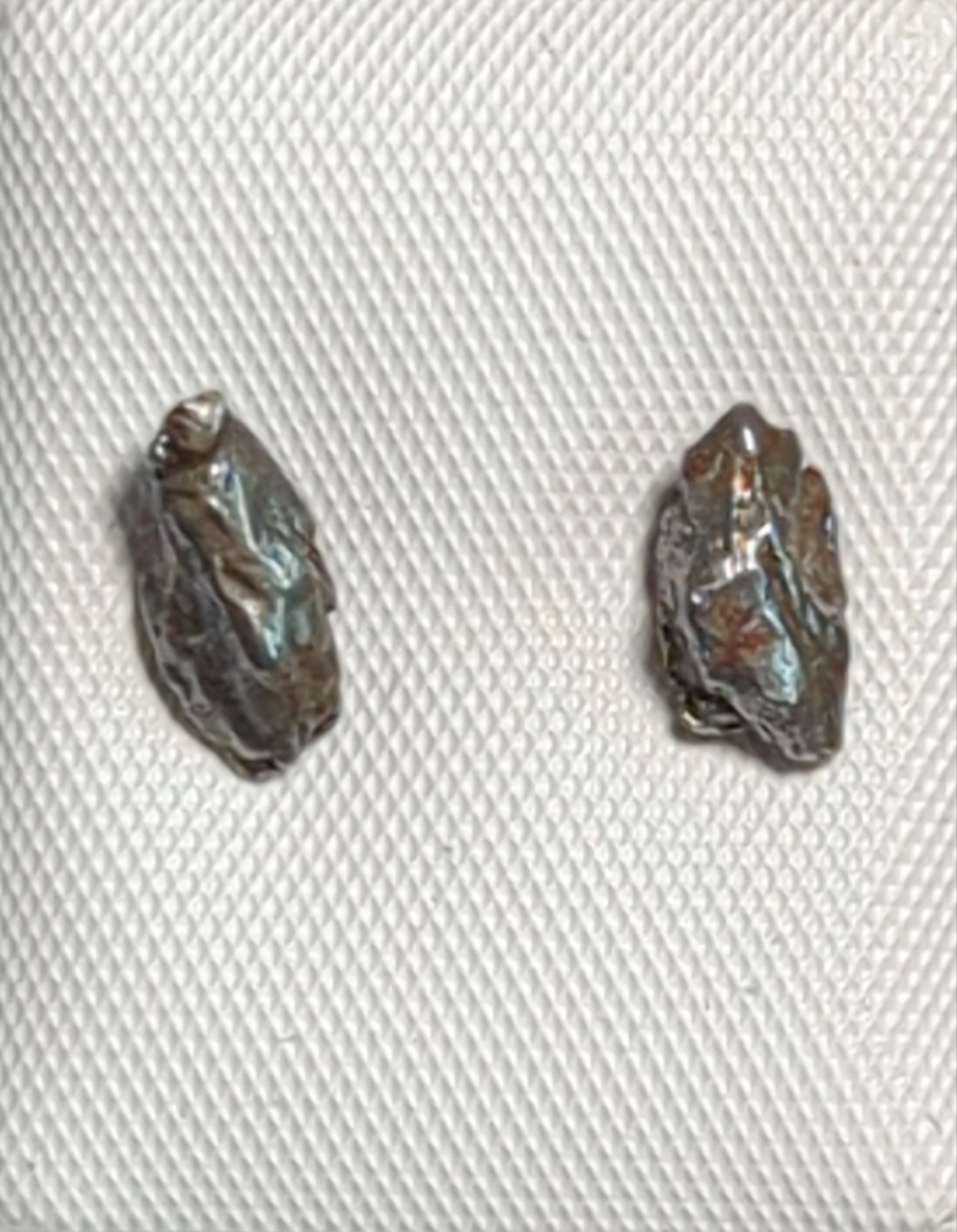 Campo del Cielo Meteorite Earrings
