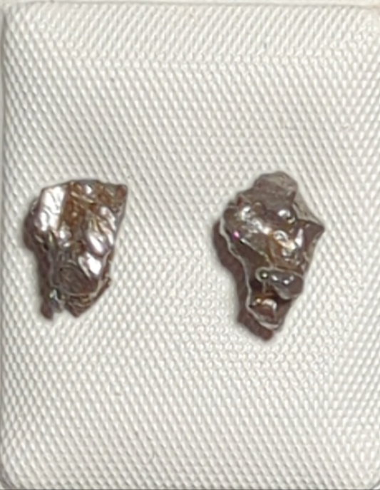 Campo del Cielo Meteorite Earrings