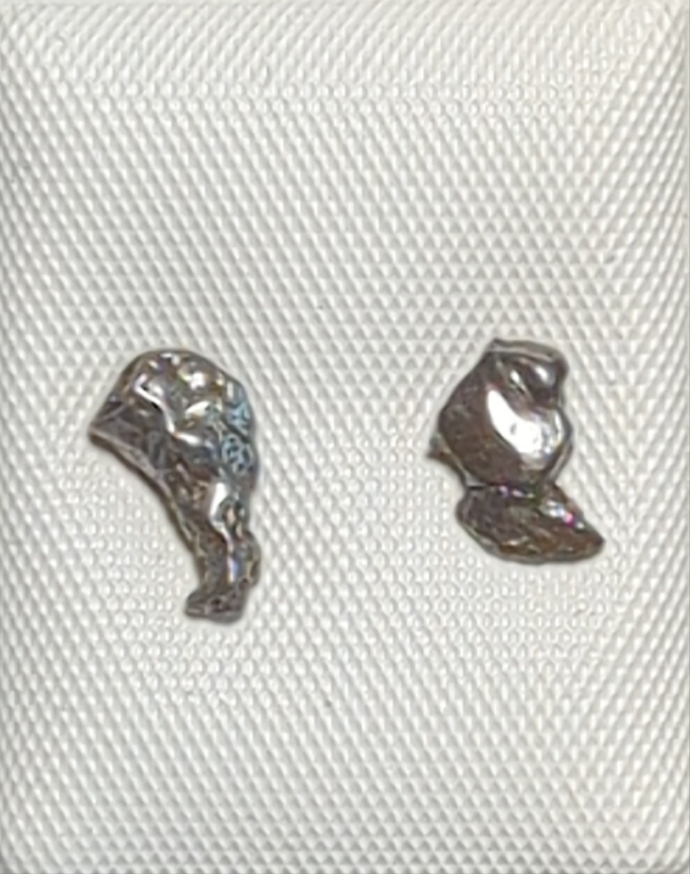 Campo del Cielo Meteorite Earrings