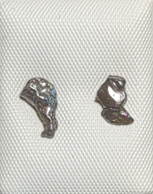 Campo del Cielo Meteorite Earrings