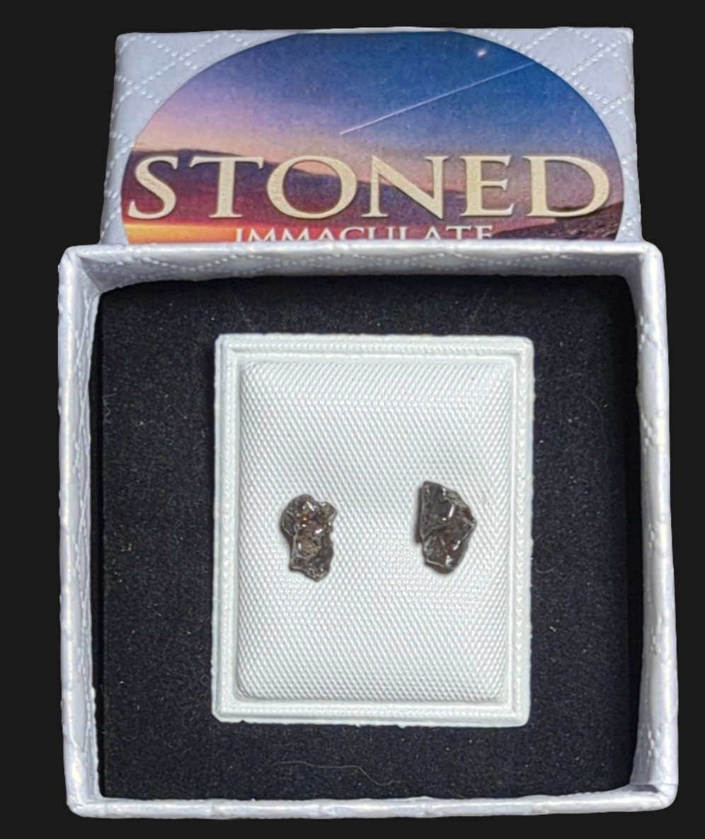 Campo del Cielo Meteorite Earrings