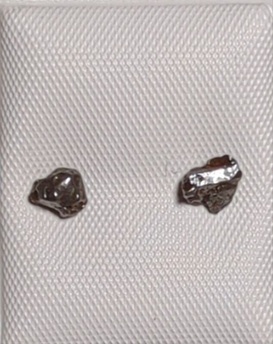 Campo del Cielo Meteorite Earrings