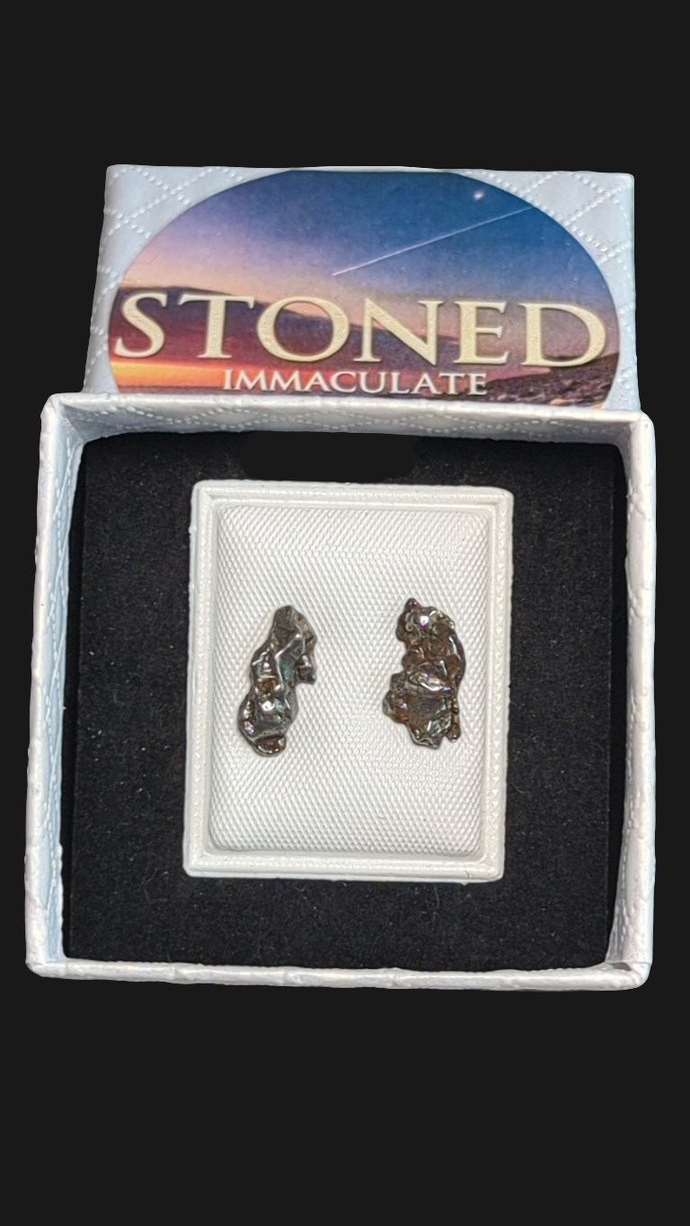 Campo del Cielo Meteorite Earrings