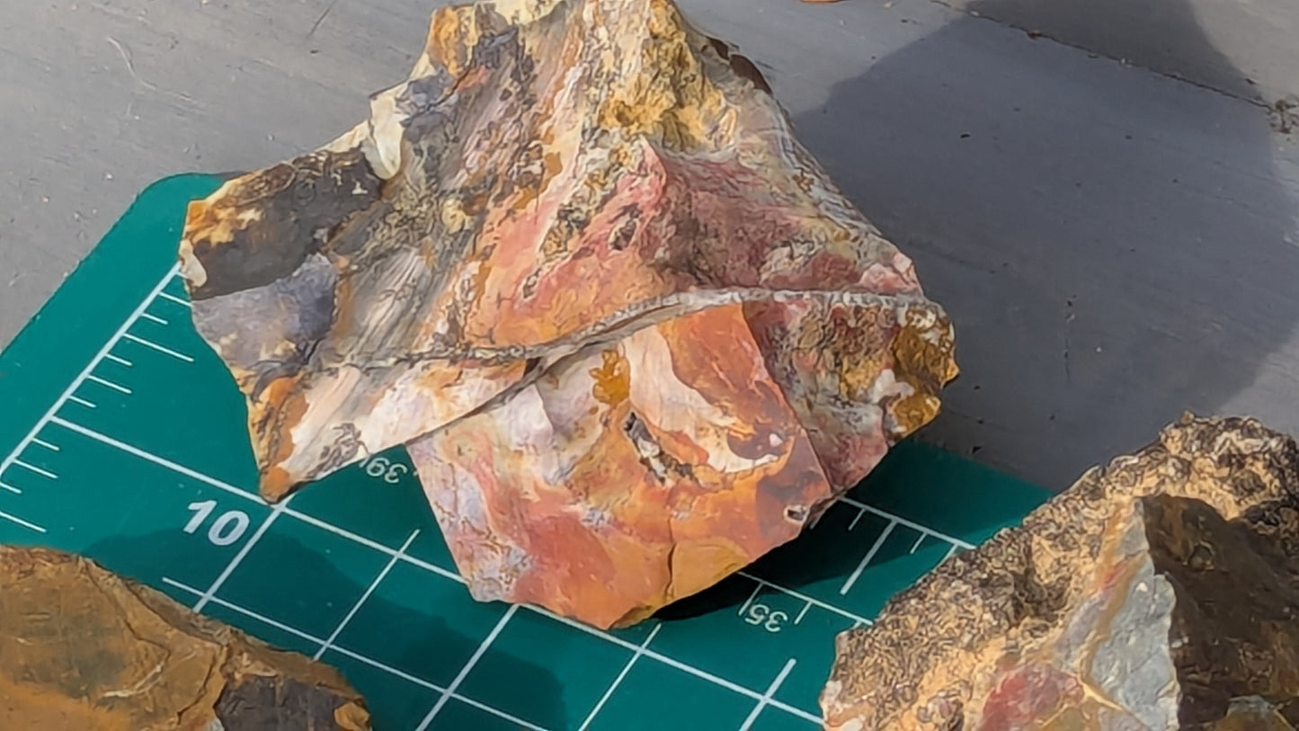 Medium Rainbow Flint - Raw Ohio Flint Ridge Flint Pieces