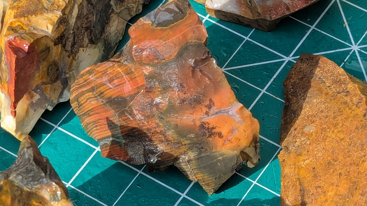 Small Rainbow Flint - Raw Ohio Flint Ridge Flint Pieces