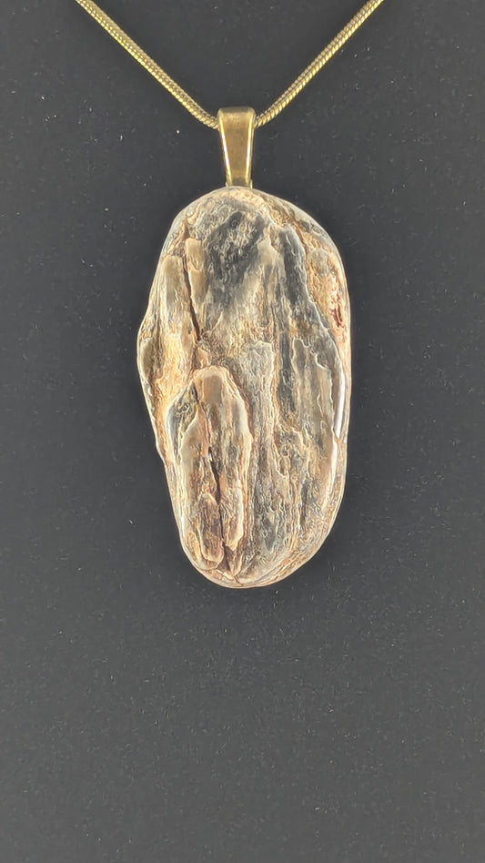 Petrified Wood Pendant