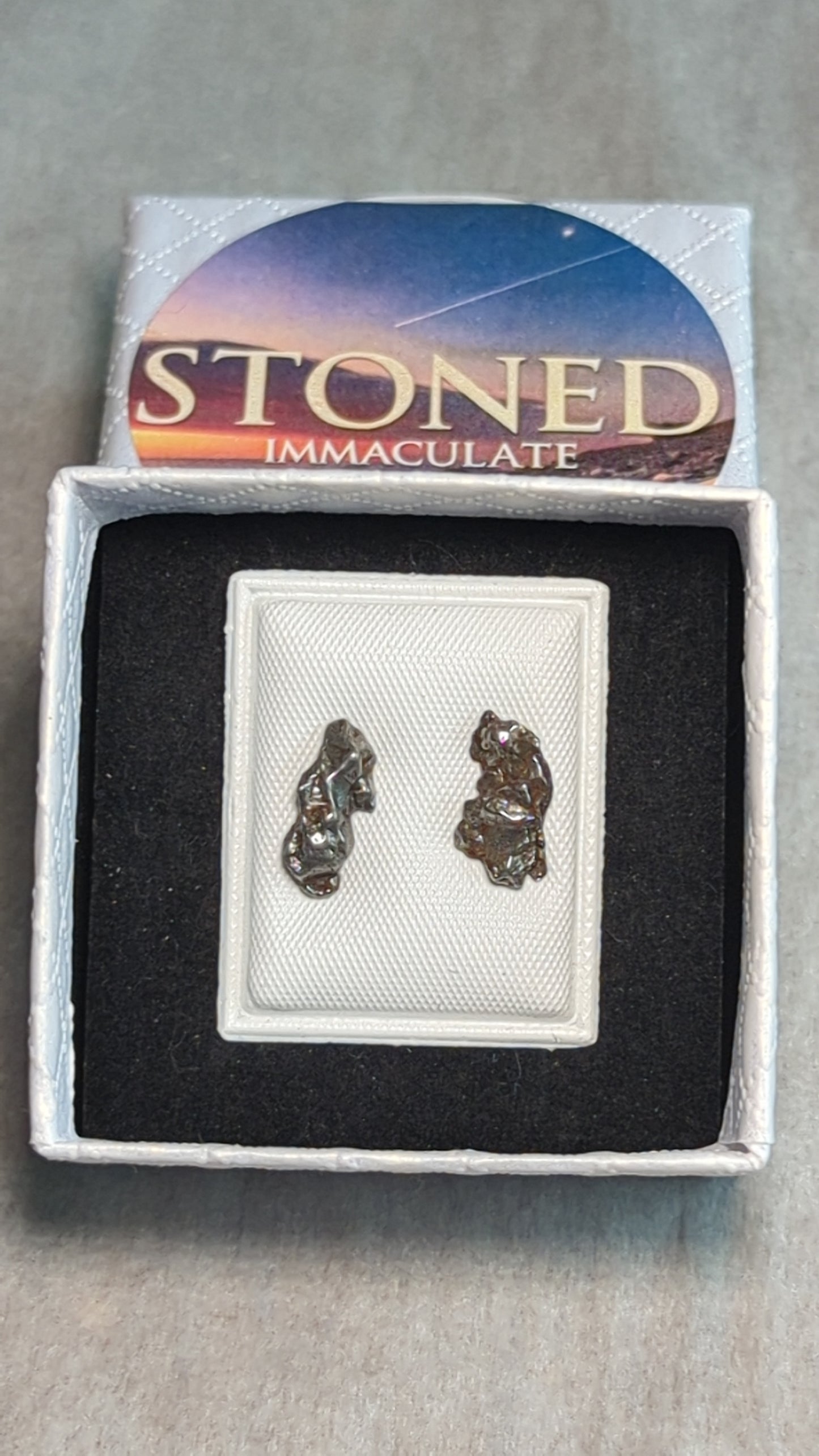 Campo del Cielo Meteorite Earrings