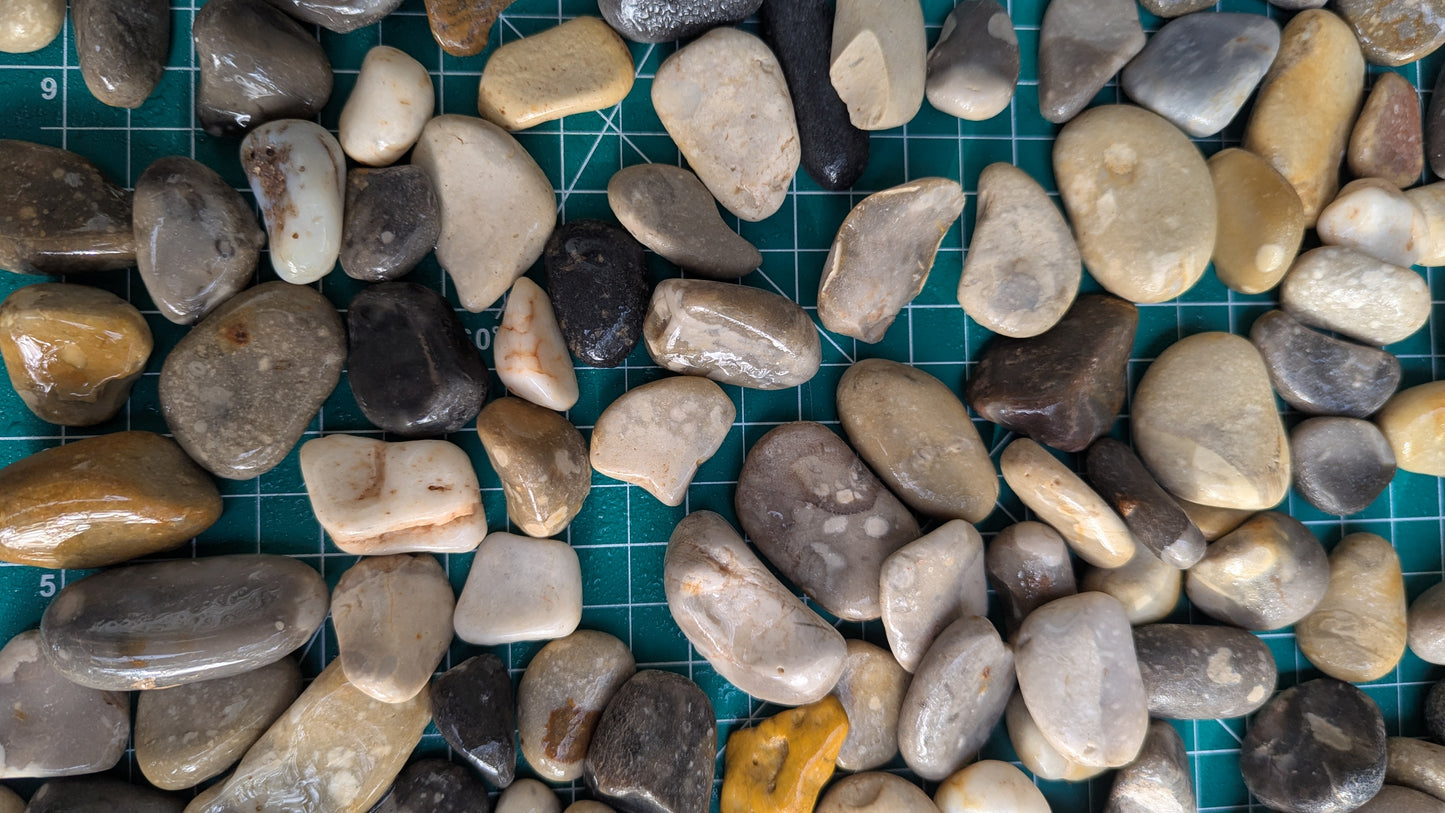 Chert Tumbling Mix - One Pound