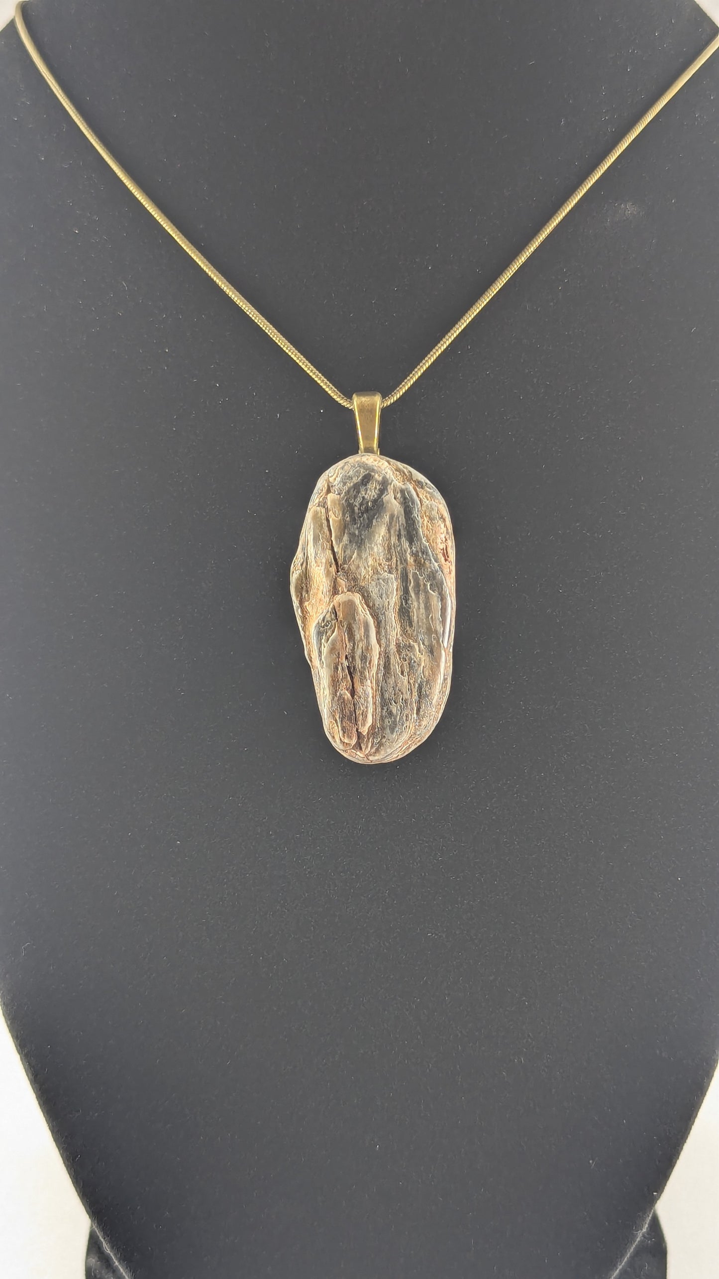 Ancient Coastline Petrified Wood Pendant