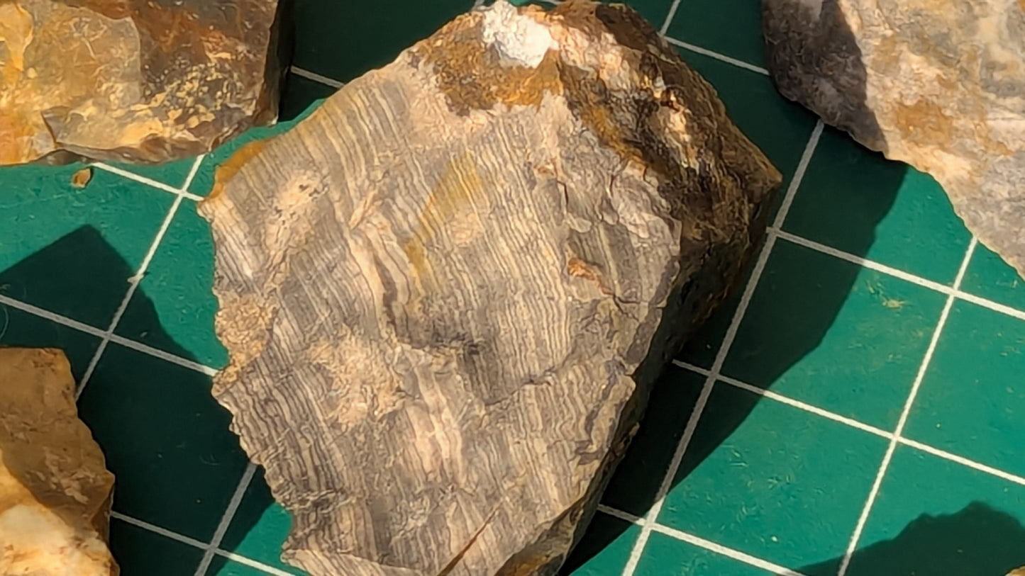 Small Rainbow Flint - Raw Ohio Flint Ridge Flint Pieces