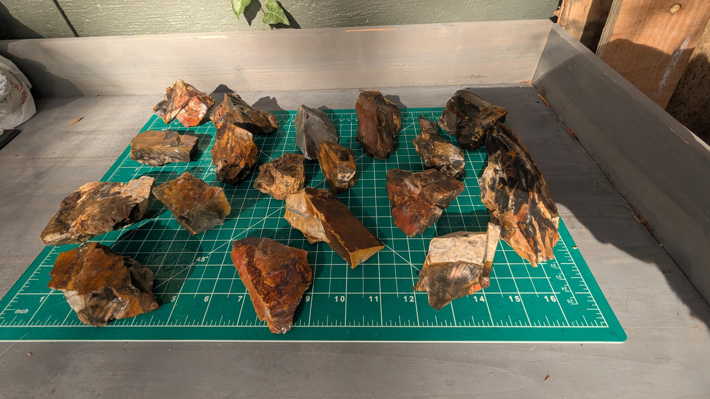 Medium Rainbow Flint - Raw Ohio Flint Ridge Flint Pieces