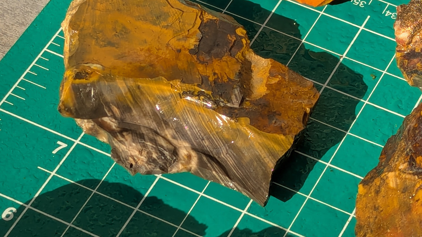 Medium Rainbow Flint - Raw Ohio Flint Ridge Flint Pieces