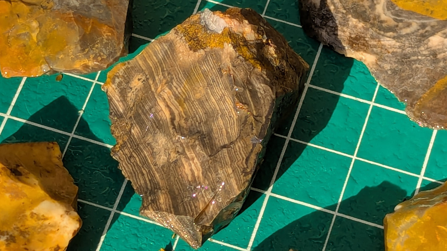 Small Rainbow Flint - Raw Ohio Flint Ridge Flint Pieces