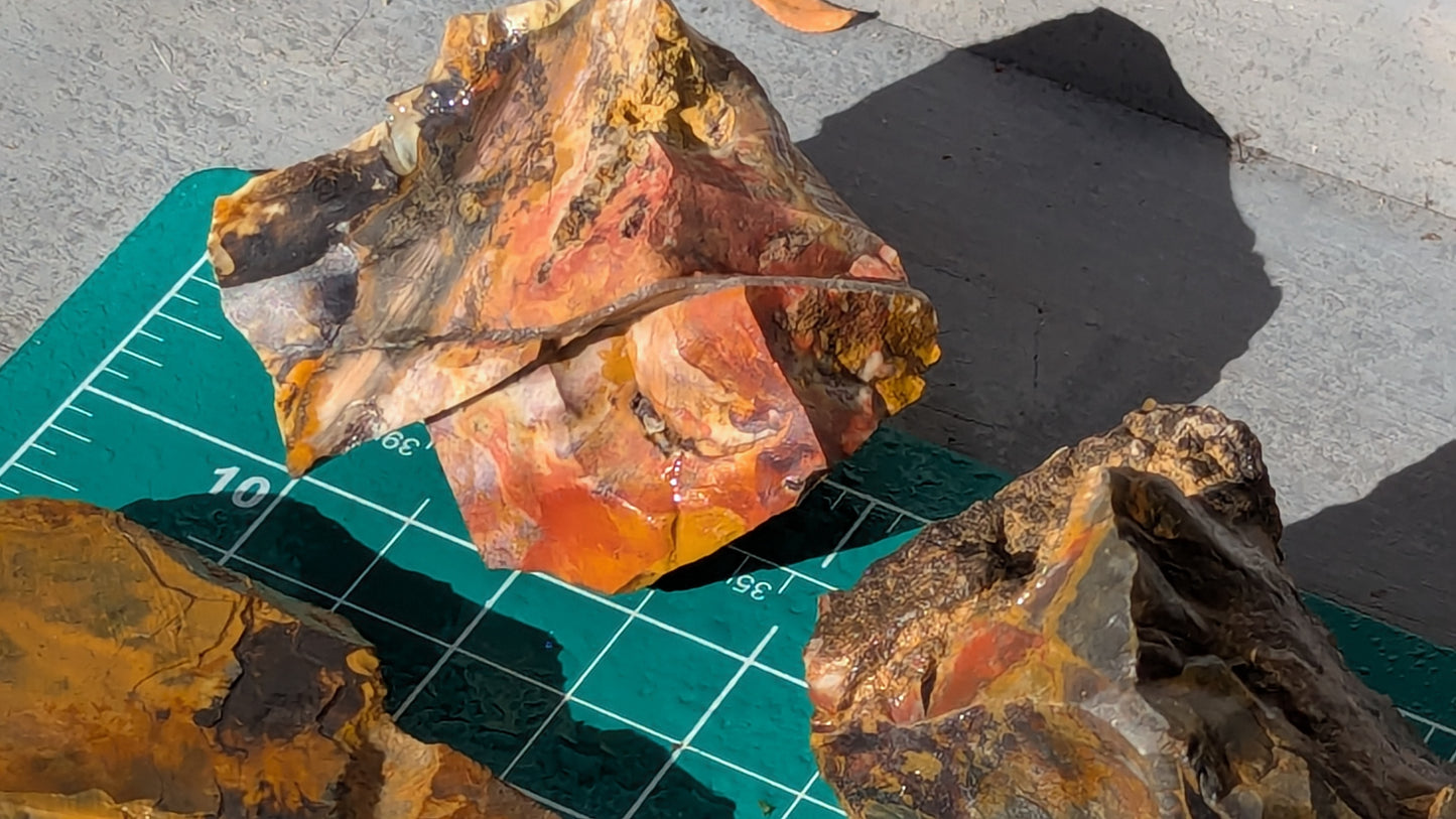 Medium Rainbow Flint - Raw Ohio Flint Ridge Flint Pieces